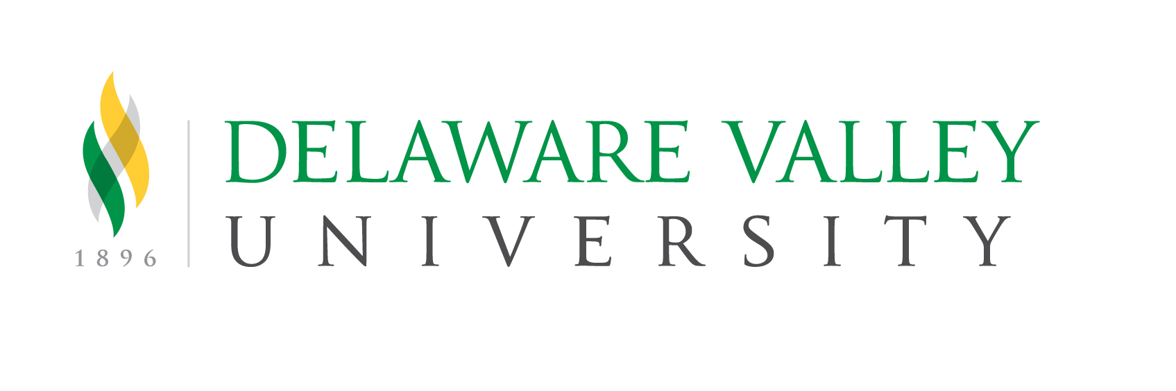 delaware valley logo