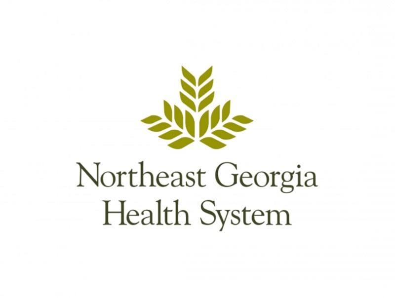 northeast georgia logo